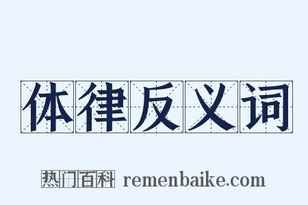 体律反义词是什么意思的图片